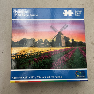 1000块积木，儿童益智拼图