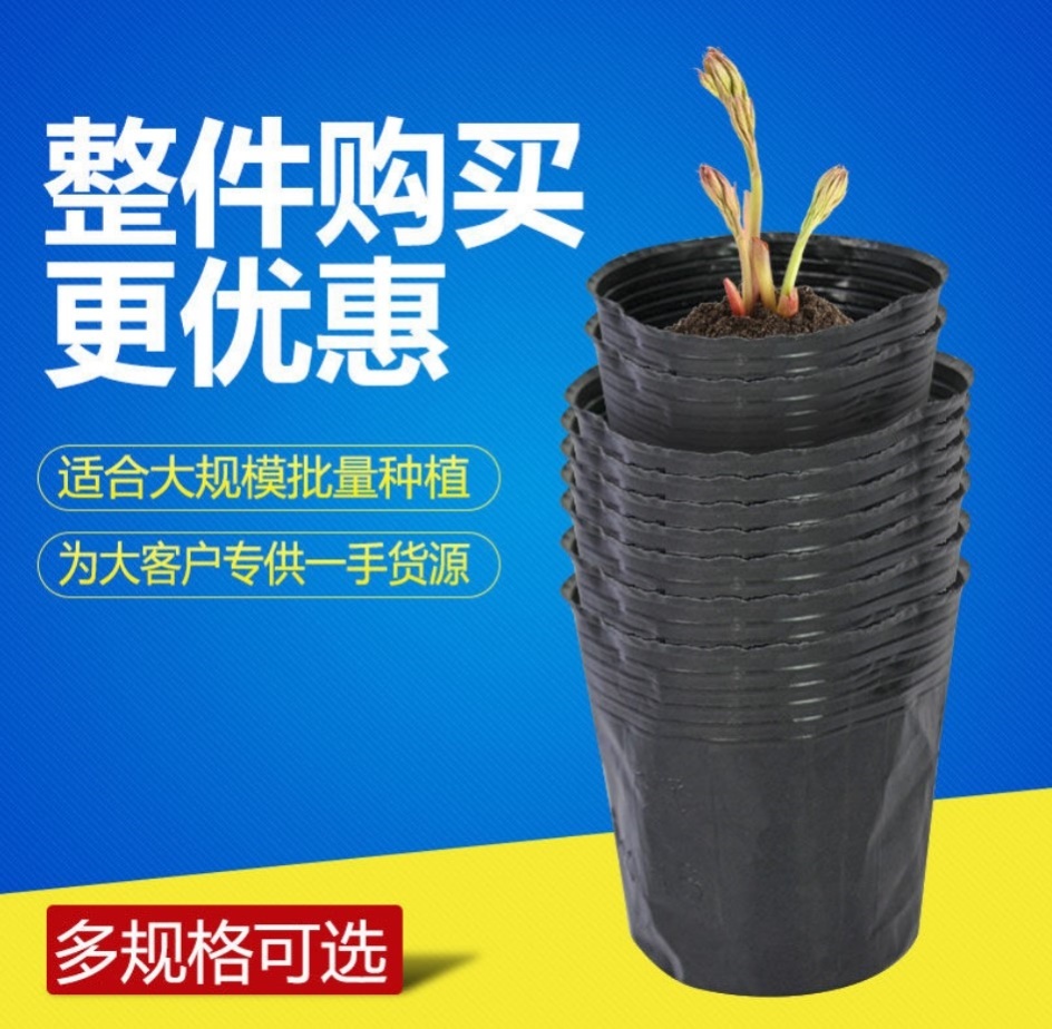 营养钵黑色塑料育苗杯育苗袋育苗盆一次性花盆加厚8*8营养杯西瓜 Изображение 1 营养钵黑色塑料育苗杯育苗袋育苗盆一次性花盆加厚8*8营养杯西瓜 Изображение 1