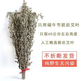 艾叶干艾叶艾蒿整颗干艾草新鲜整棵端午节挂门艾蒿草野生艾叶驱蚊