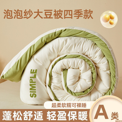 Warm Duvet Quilt Blanket春秋被加厚冬被棉被褥空调被夏季凉被芯