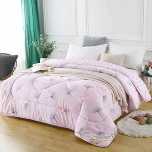 Warm Duvet All Season Blanket Sheet Bedding四季被春秋被冬被