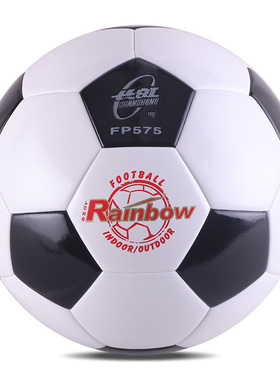 双鱼 室内室外5号足球 FP575