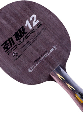 红双喜DHS 国手王励勤技术1S级 双玻碳 乒乓球底板拍 劲极12 直拍