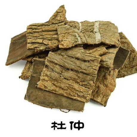 优质中药材杜仲扯丝杜仲丝棉皮正品中草药杜仲厚皮丝多非枝皮泡水