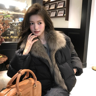 黑色毛毛立领短款羽绒服女款秋冬季新款加绒加厚保暖棉服外套上衣