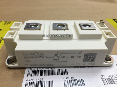SKM400GB125D SKM400GAL125D SKM400GB128D SKM300GAR123D
