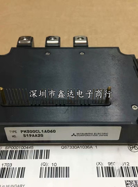 PM300RSD060 PM300CLA060 PM300RLA060 PM300CL1A060