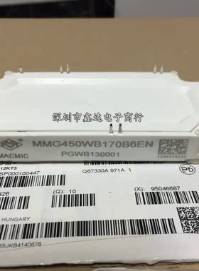 MMG450WB170B MMG450WB170B6EN MMG600WB170B6EN MMG300WB170B