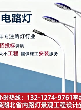 武汉大型户外庭院景观灯太阳能路灯市政公园道路灯杆园林高杆灯