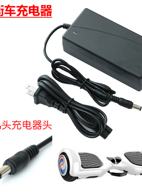 锂电池电动车充电器48V36V60V24V2A72V电车锂离子哈雷平衡车通用