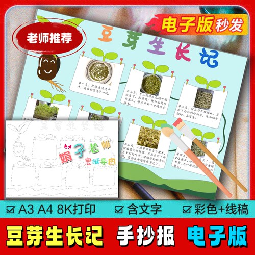 小学生绿豆芽观察日记成长记录绿豆芽生长记手抄报自然笔记线稿a4