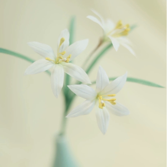 拾花纪 烫花簪 葱兰花 汉服配发饰