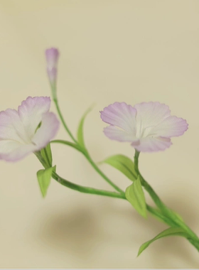 拾花纪 纯手工烫花发簪 烫花头饰 石竹花 汉服配饰 国风配饰