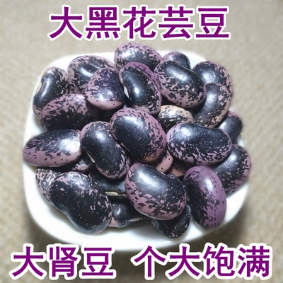 大肾豆云南大黑芸豆新货豆子500g