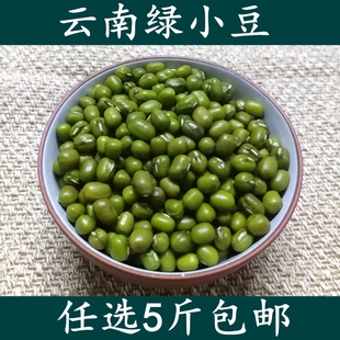 包邮 天然绿豆云南农家自产小绿豆 500g优质笨绿豆豆子五谷杂粮5斤