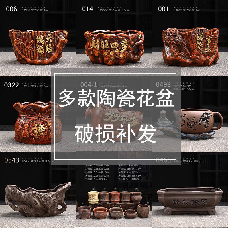 清仓喜上花盆陶瓷发财树招财客厅旺宅绿植室内办公室盆栽特价批发