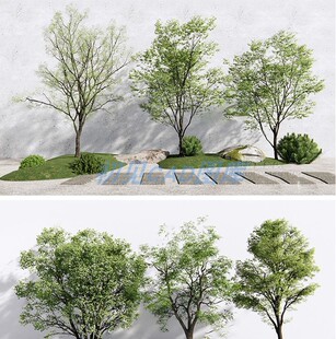 201园林建筑SU草图大师模型室外景观树木乔木三维植物sketchup素