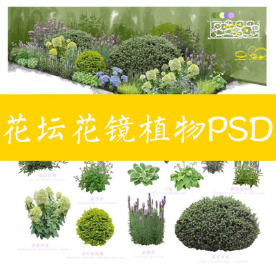 15庭院花园花卉花草ps 园林花境植物景观搭配组合花坛素材psd免抠