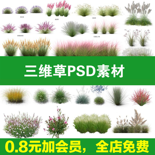 草丛单体素材ps素材单株自然茂密草丛花丛组团高清后期绿植ps配景