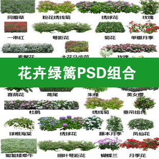 32园林户外花境植物配置花卉绿篱灌木丛地被草花ps素材psd分层