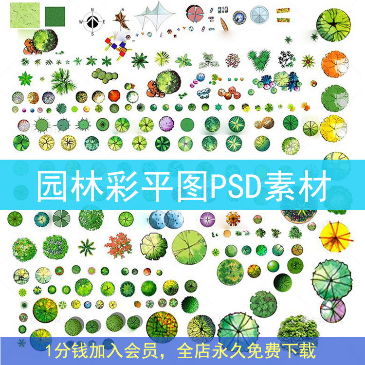 园林景观彩平图PSD素材植物手绘辅装PS后期立面平面图设计效果图