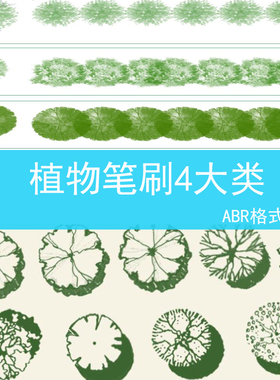 296灰色彩平植物笔刷平面树植物ps笔刷小清新水彩树乔木灌木总平