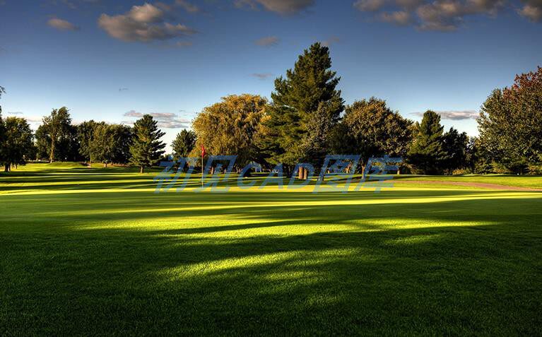 203窗外窗景外景vr户外3d高清3dmax材质贴图su贴图城市建筑小区别