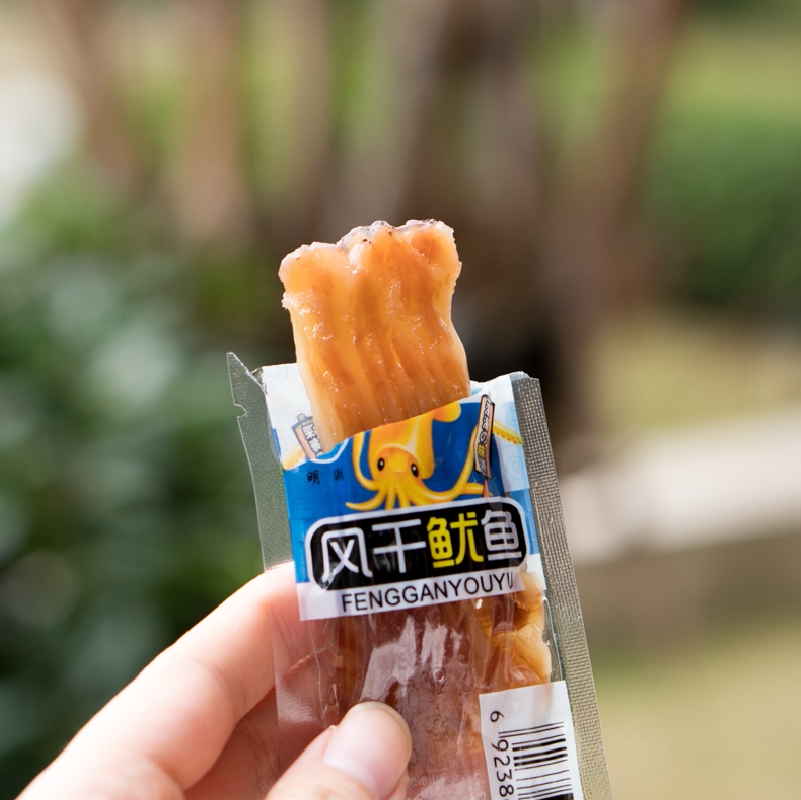 烧烤手撕风琴铁板鱿鱼零食大鱿鱼整只即食小包装干货风干鱿鱼仔