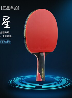 辉胜乒乓球拍单拍专业级横拍直拍