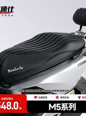 MSS摩速仕坐垫适用九9号M5100M5125M5200一体座包垫靠背胎压配件