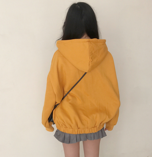 Quality Inspection of Korean Version Hat Drawstring Pure Colored Plus Suede Jacket with 4 Colours