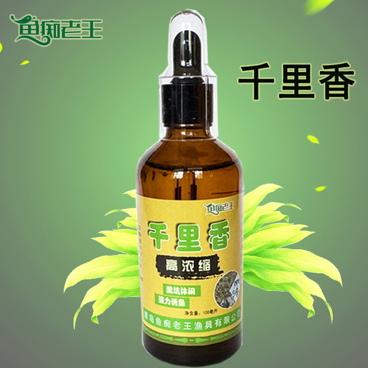 鱼痴老王 钓鱼饵料小药千里香黑坑鲤鱼鲫鱼添加剂野钓药酒