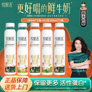 君乐宝悦鲜活牛奶A2型酪蛋白鲜牛奶260ml低温鲜奶学生奶组合装