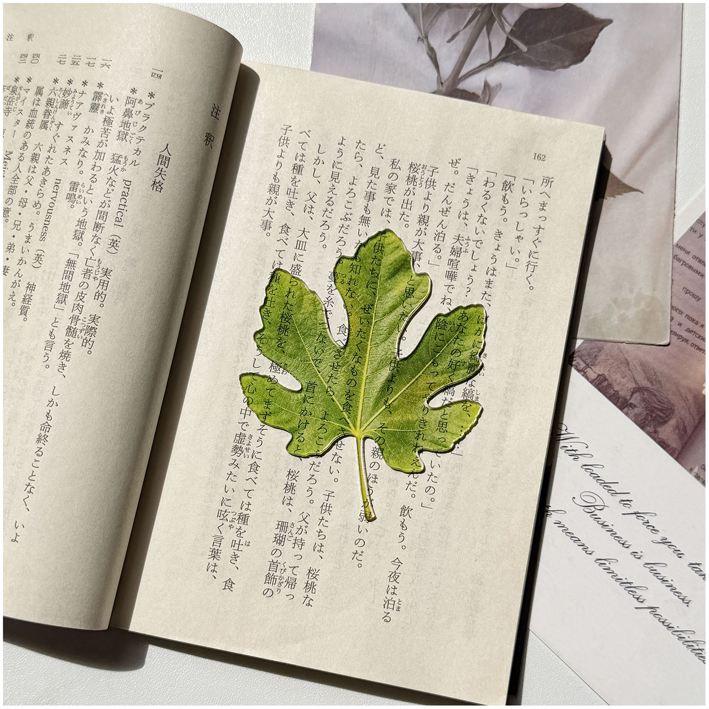 原创无花果叶书签亚克力透光高颜值绿色叶子读书阅读标记透卡礼物