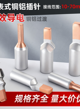 C45铜铝插针线鼻子接线端子接头过渡连接10/16/25空开断路器电表