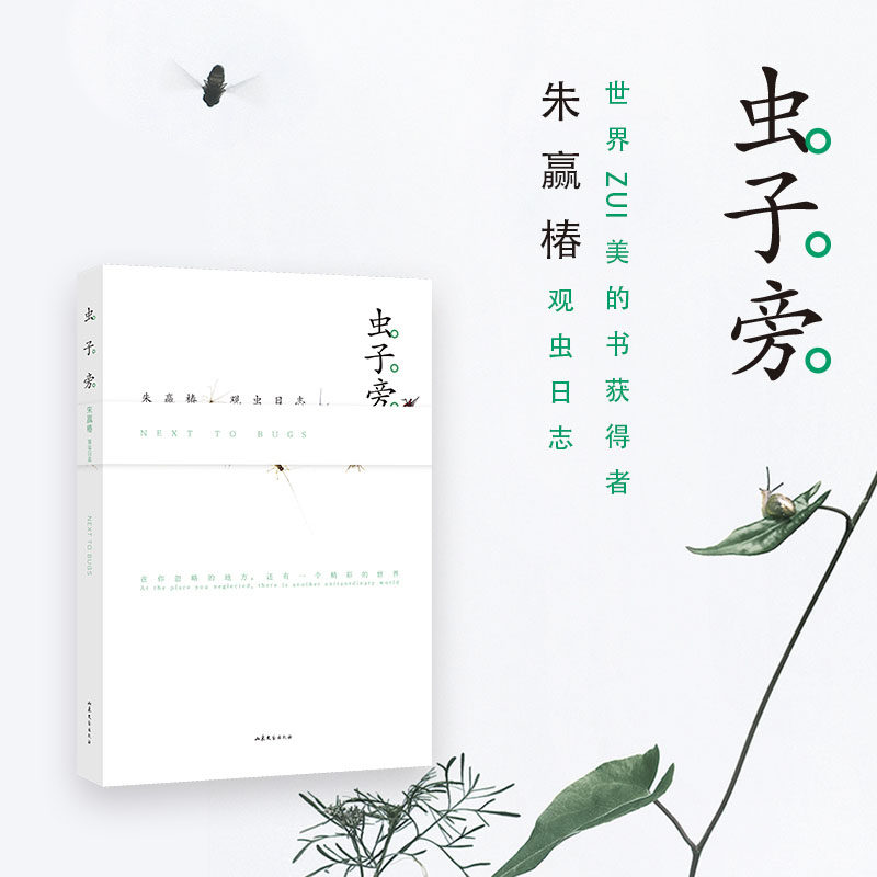 《虫子旁》"世界最美图书"获奖者朱赢椿首部图文作品,收集数十篇作者