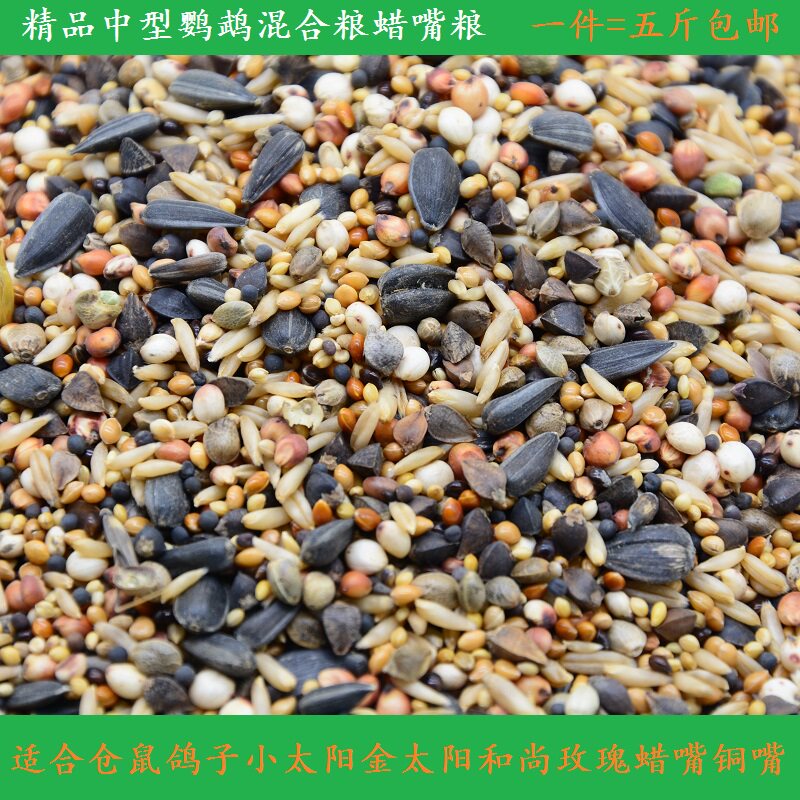 中型鹦鹉混合饲料蜡嘴铜嘴金小太阳和尚玫瑰仓鼠鸽子鸟食鸟粮包邮