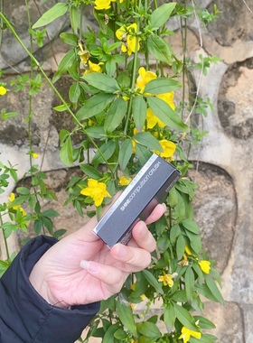 美宝莲绝色唇膏 小灯管 SPK23  SRD04 SOR70   SOR53 46 SRD43