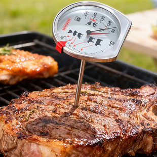 德国Leifheit 轻松判牛排熟度神器 肉类煎烤烧烤温度计控针测温计
