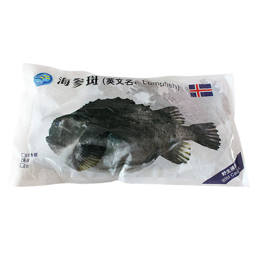 新鲜去砂海参斑冷冻去脏石斑鱼