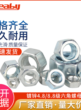 铁镀锌六角螺母 螺丝帽大全螺帽M2M3M4M5M6M8M10M12M14M16M18-M24