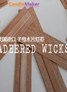 WOODEN WICK 美国进口 木片灯芯 子母片 香薰大豆蜡专用
