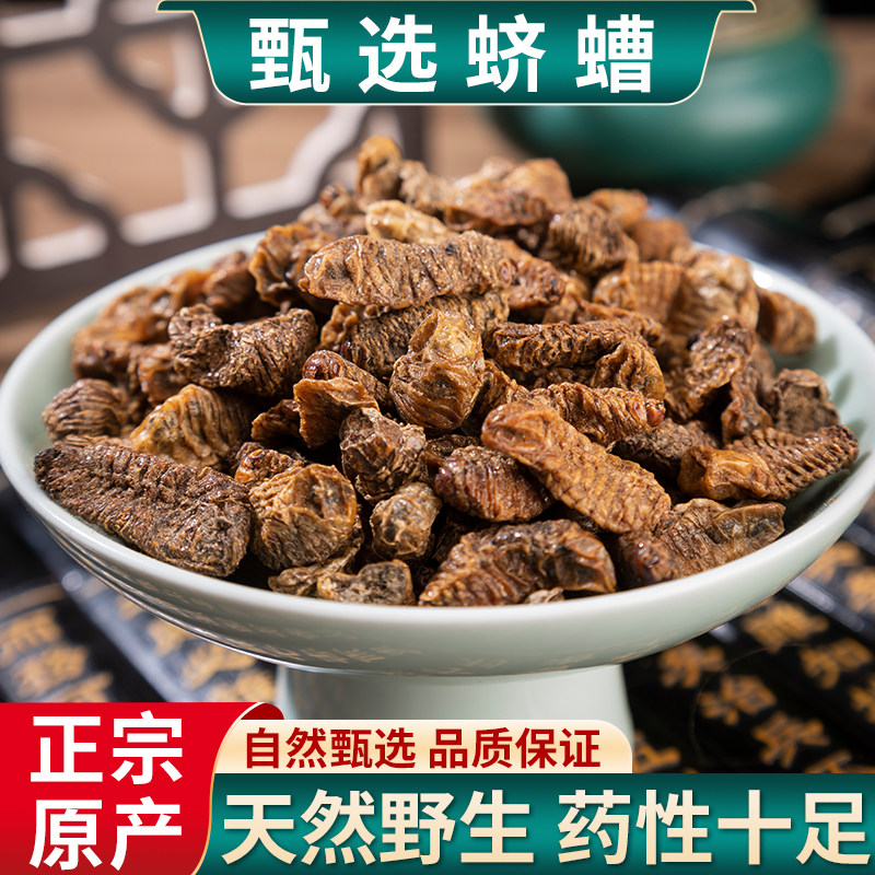 蛴螬中药材土蚕老母虫地狗子无硫蛴螬虫药用 天然野生500克包邮