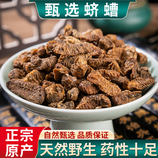 蛴螬中药材土蚕老母虫地狗子无硫蛴螬虫药用 天然野生500克包邮