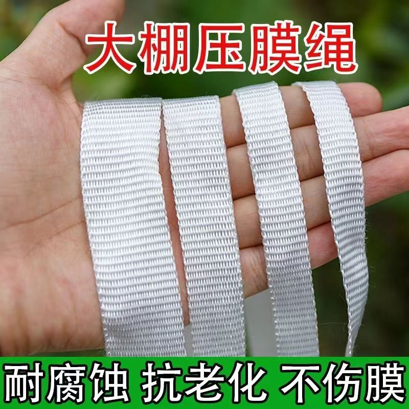 大棚压膜绳压膜线压膜带抗老化白色涤纶压膜绳压膜带压膜线耐磨绳