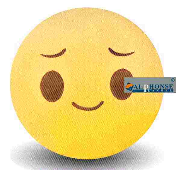 Peluche manga en peluche expression Micro-lettre - Ref 2694646 Image 1