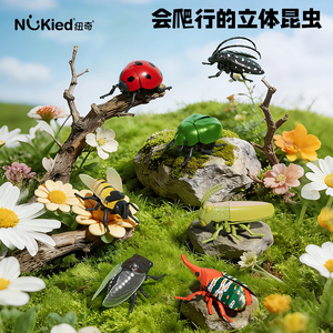早教益智点读发条仿真昆虫玩具