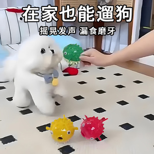 居家逗狗消耗体力狗狗玩具球发声磨牙耐咬漏食零食舔食比熊防拆家
