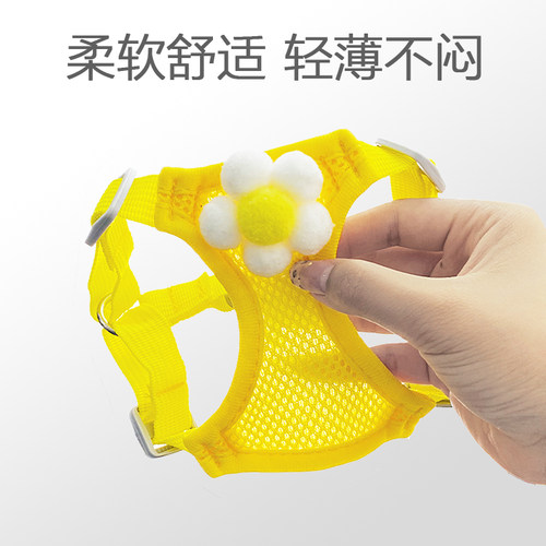 透气网孔胸背带小狗狗牵引绳薄款