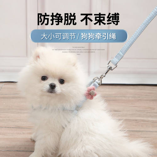 胸背泰迪宠物链子狗狗牵引绳